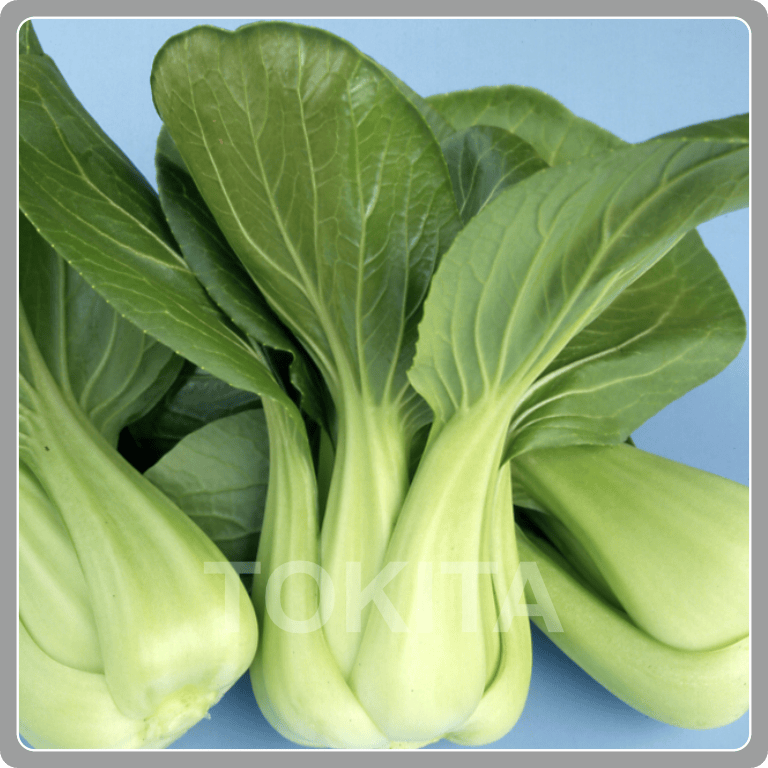 Pakchoi