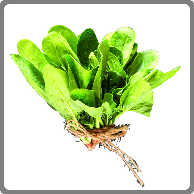Spinach