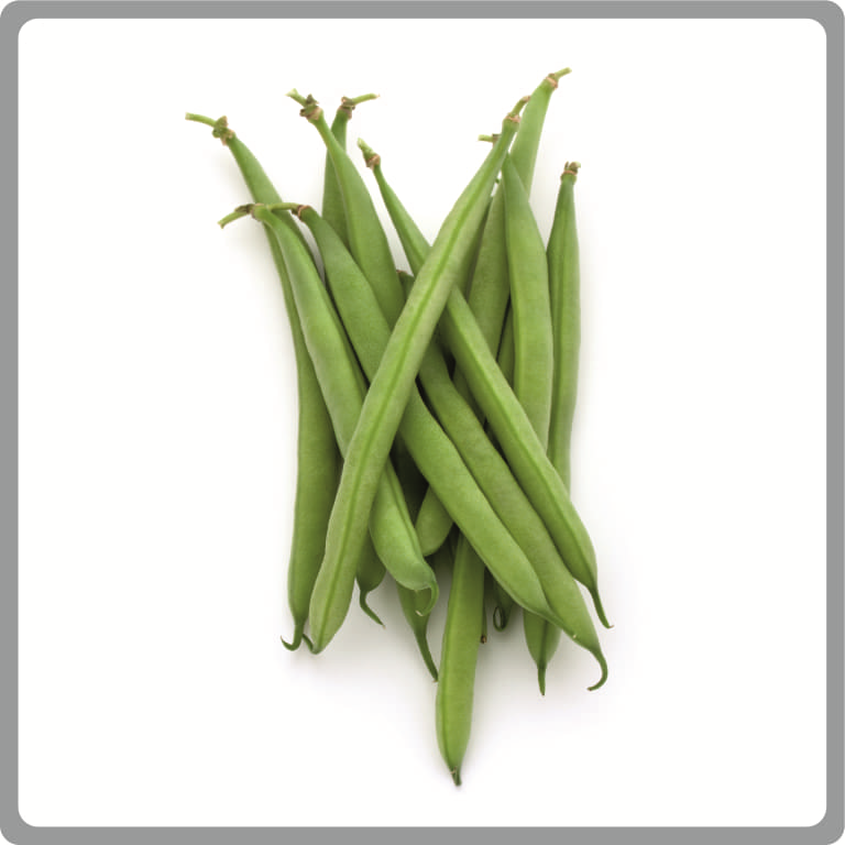 Bush Bean