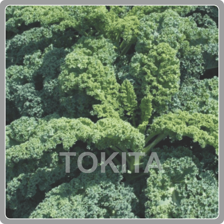 Kale TSX 074 