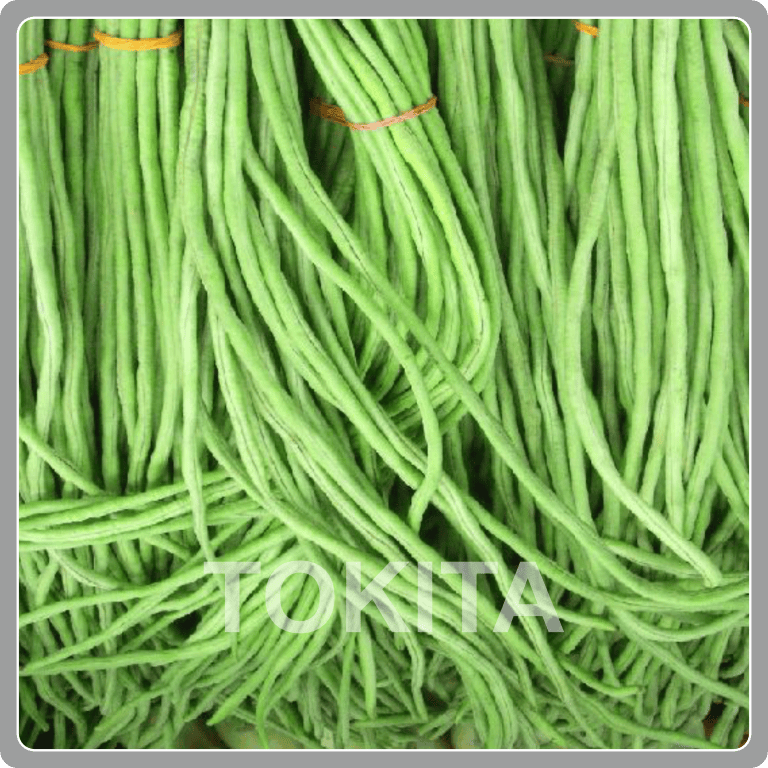 Yard Long Bean Green Fall Light