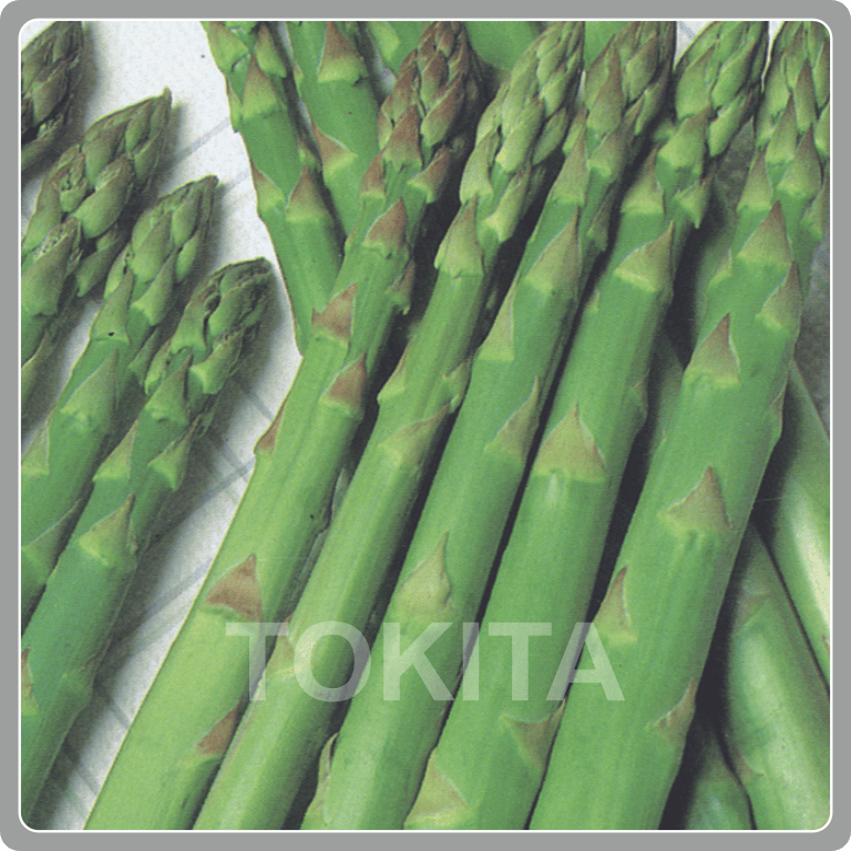 Asparagus Merry Washington 