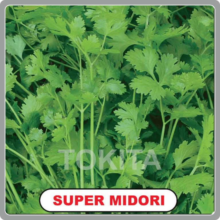 Super Midori