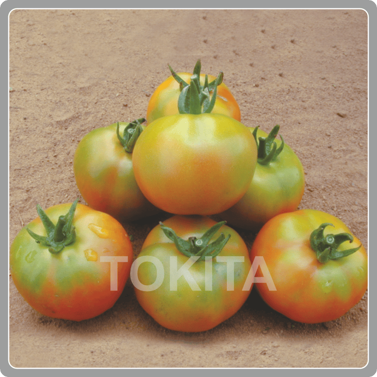 Mangalam