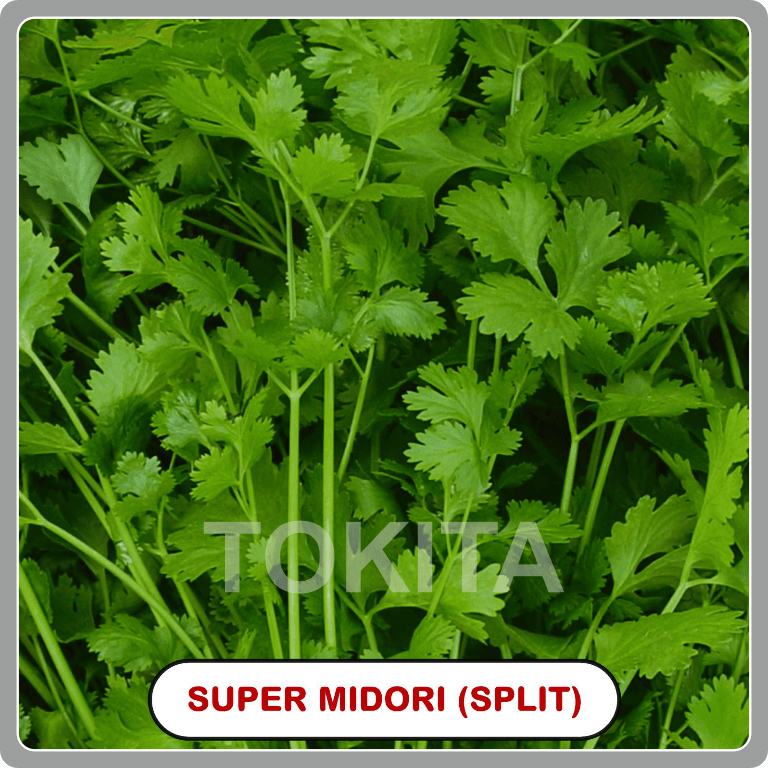 Super Midori Split