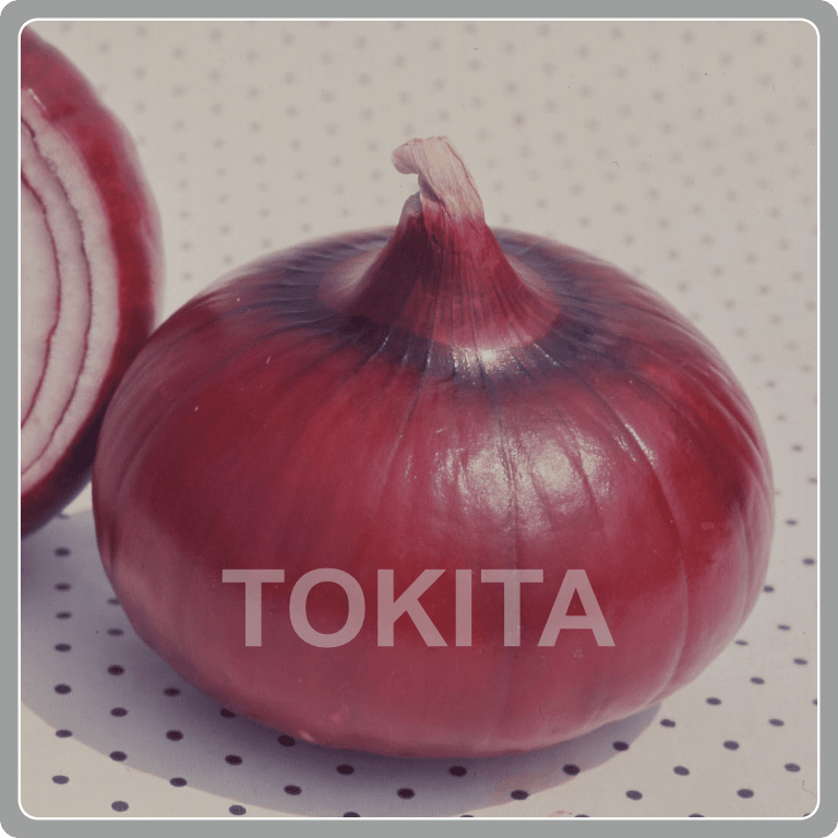 Shonan Red
