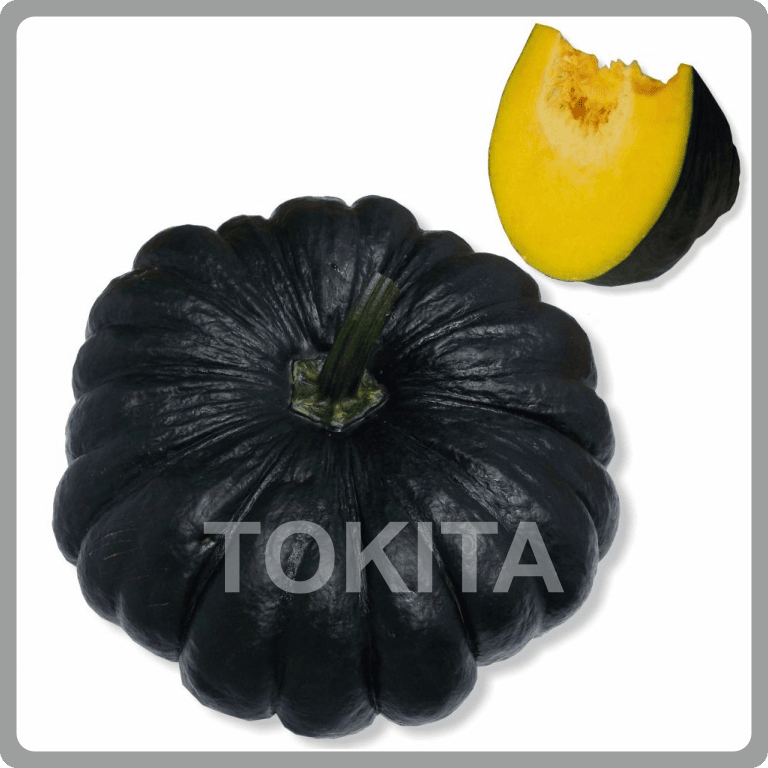 Tokita Jumbo