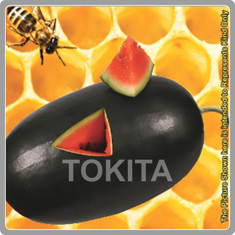 Honeybunch