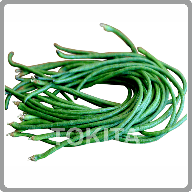 Yard Long Bean Green Fall