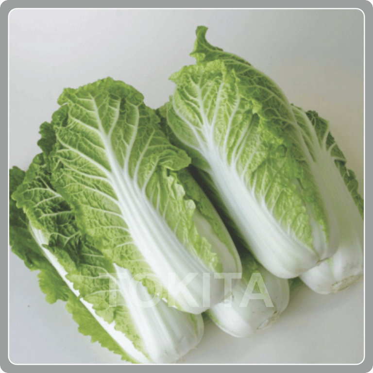Chinese Cabbage Baby Spring Sun 60 