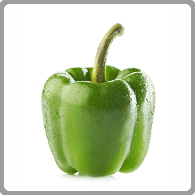 Capsicum